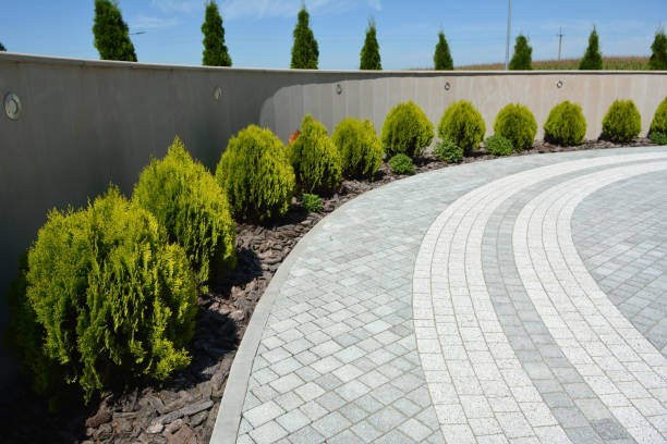 Trusted Dillingham, AK Driveway Pavers Experts