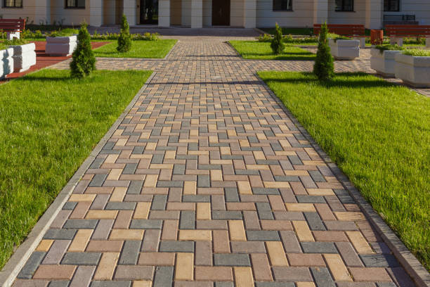 Best Paver Driveway Replacement  in Dillingham, AK